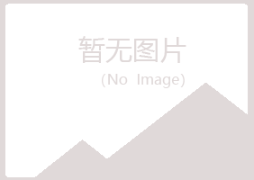 连城县冰夏采矿有限公司